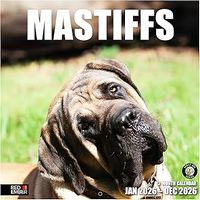 Mastiff 2026 Calendar