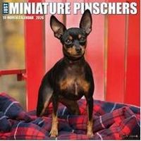 Miniature Pinscher Calendars