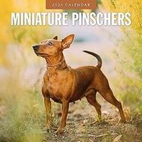 Miniature Pinscher 2026 Calendar