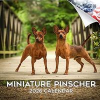 Miniature Pinscher 2026 Calendar