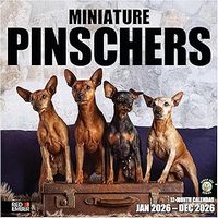 Miniature Pinscher 2026 Calendar