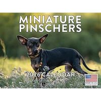 Miniature Pinscher 2026 Calendar