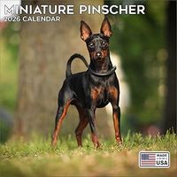 Miniature Pinscher 2026 Calendar