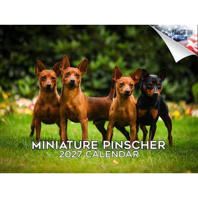 Miniature Pinschers 2027 Calendar