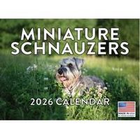 Miniature Schnauzers 2026 Calendar