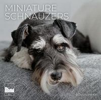 Miniature Schnauzers 2026 Calendar