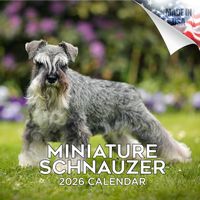 Miniature Schnauzer 2026 Calendar