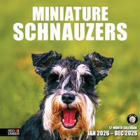 Miniature Schnauzer 2026 Calendar