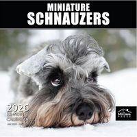 Miniature Schnauzer 2026 Calendar