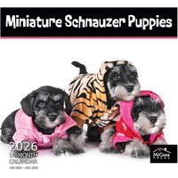 Miniature Schnauzer Puppies 2026 Calendar