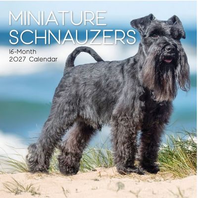 Miniature Schnauzers 2027 Calendar