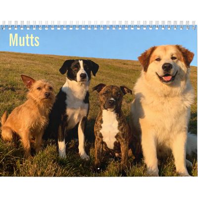 Mutts 2027 Calendar