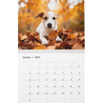 Mutts 2027 Calendar