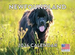 Newfoundland 2026 Calendar