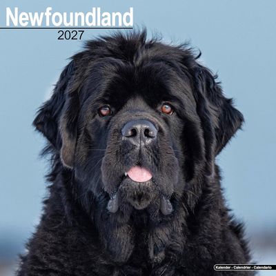 Newfoundland 2027 Calendar