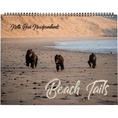 Notta Bear Newfoundlands Oregon Beach Calendar