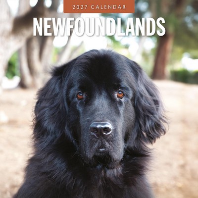 Newfoundlands 2027 Calendar