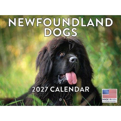 Newfoundlands 2027 Calendar