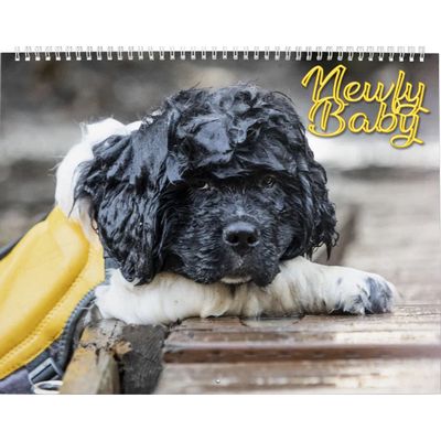 Newfy Baby Calendar