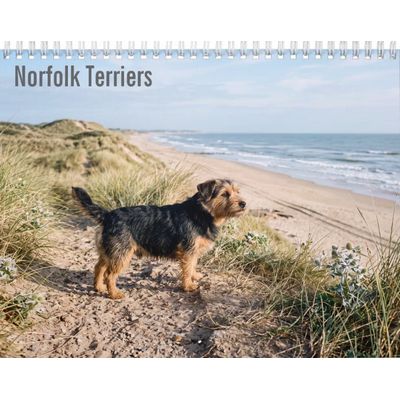Norfolk Terrier 2027 Calendar