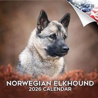 Norwegian Elkhound 2026 Wall Calendar