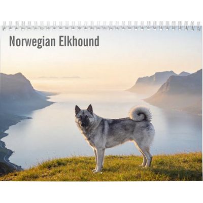 Norwegian Elkhound 2027 Wall Calendar