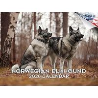 Norwegian Elkhound 2026 Wall Calendar