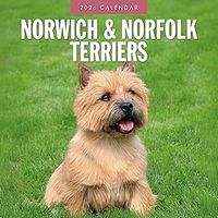 Norwich/Norfolk Terrier 2026 Calendar