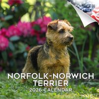 Norwich/Norfolk Terrier 2026 Calendar