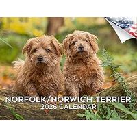 Norwich/Norfolk Terrier 2026 Calendar