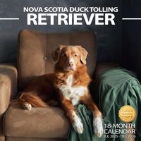 Nova Scotia Duck Tolling Retriever 2026 Wall Calendar