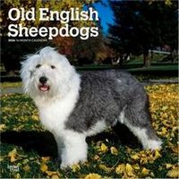 Old English Sheepdogs 2026 Calendar