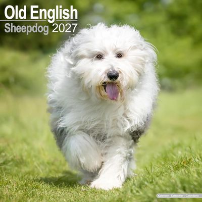 Old English Sheepdogs 2027 Calendar