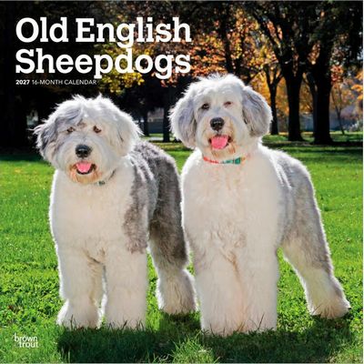 Old English Sheepdogs 2027 Calendar