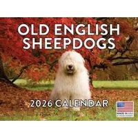 Old English Sheepdogs 2026 Calendar