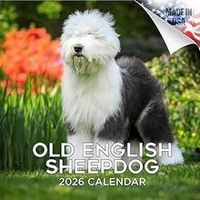 Old English Sheepdogs 2026 Calendar