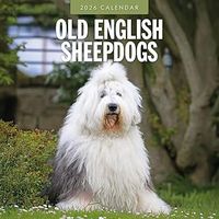 Old English Sheepdogs 2026 Calendar