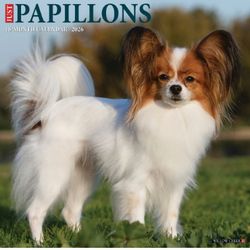Papillons 2026 Calendar