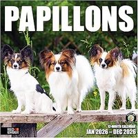 Papillons 2026 Calendar