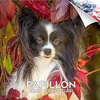 Papillons 2026 Calendar