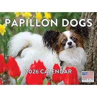 Papillons 2026 Calendar