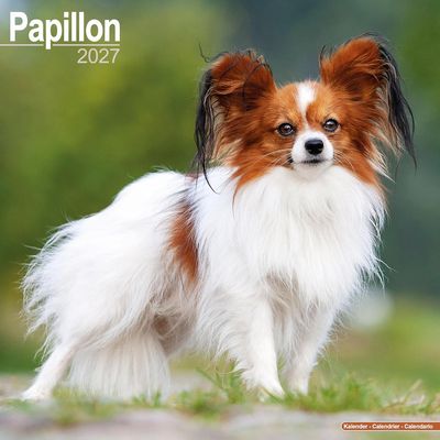 Papillons 2027 Calendar