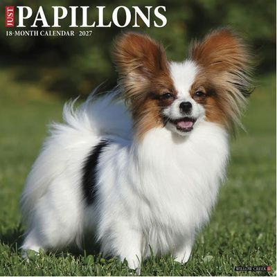 Papillons 2027 Calendar