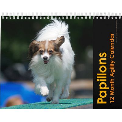 Papillons Agility Wall Calendar