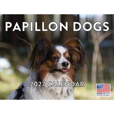 Papillons 2027 Calendar