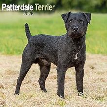 Patterdale 2026 Calendar