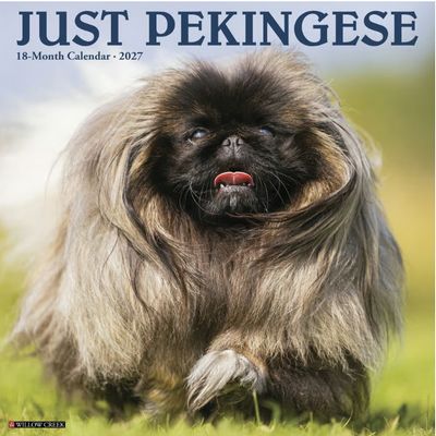 Just Pekingese 2027 Wall Calendar