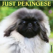 Pekingese 2026 Calendar
