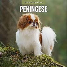 Pekingese 2026 Calendar