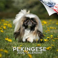 Pekingese 2026 Calendar